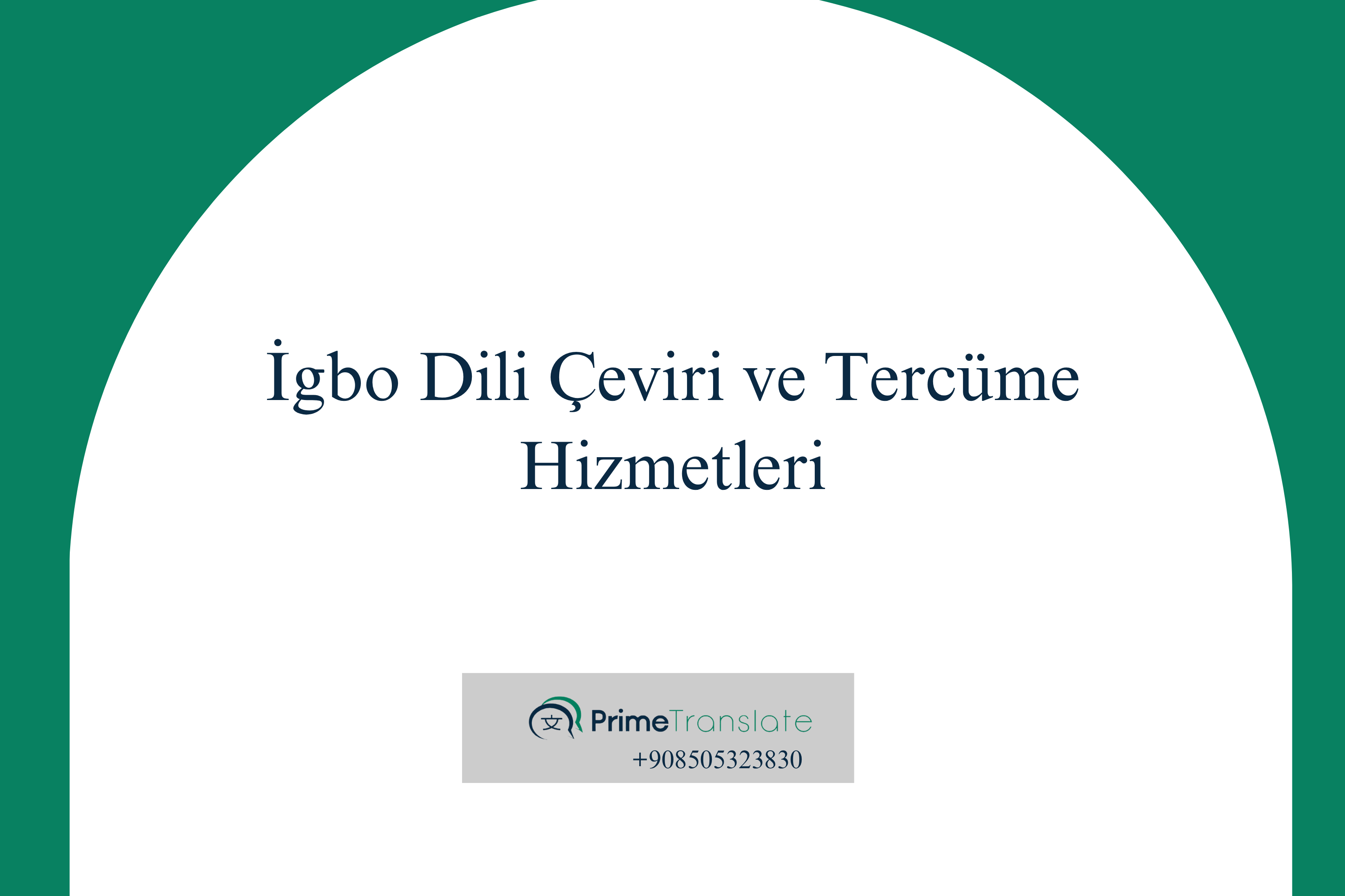 Profesyonel İgbo Dili Türkçe Çeviri ve Tercüme Hizmetleri