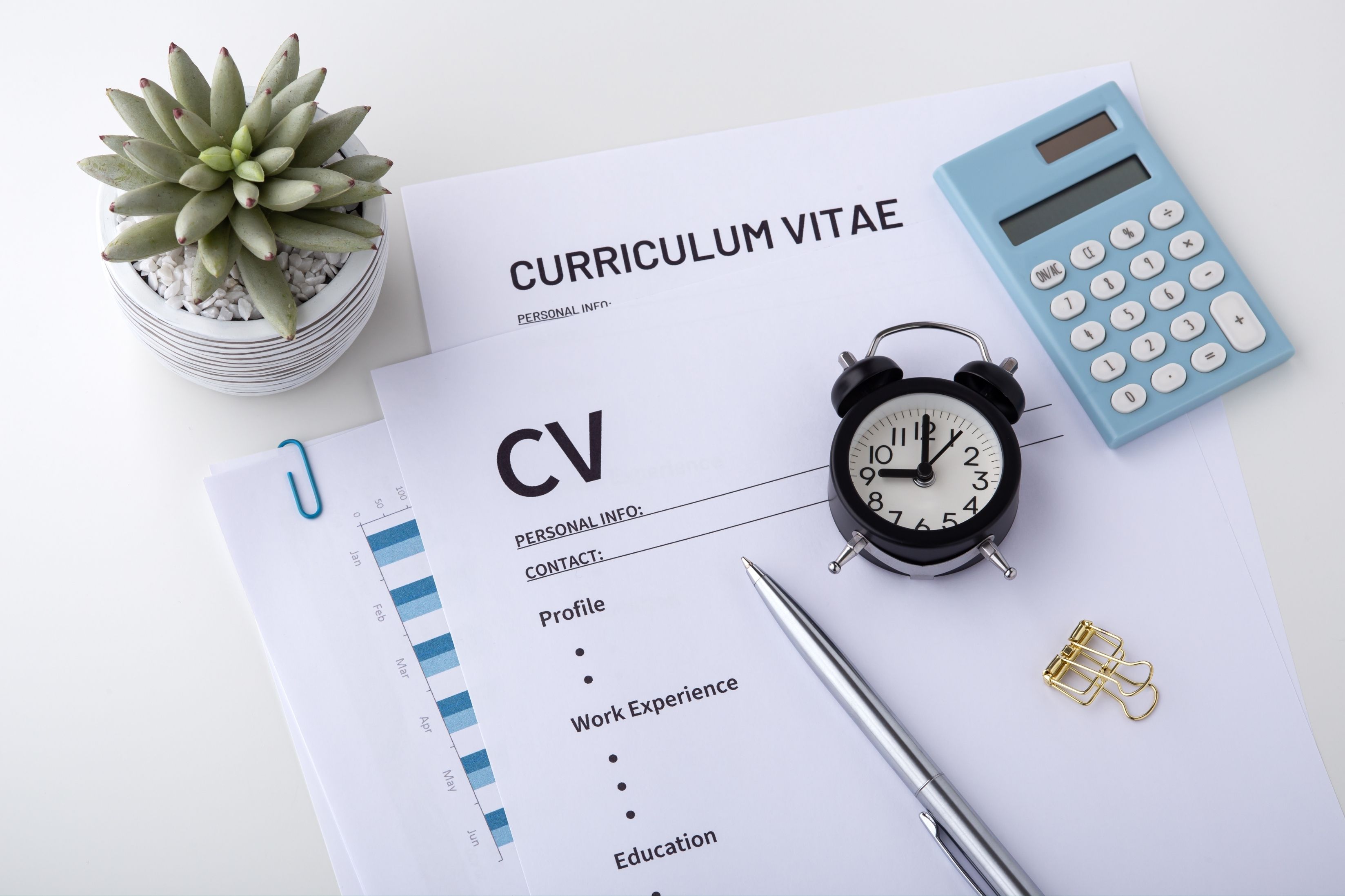 CV Çeviri ve Tercümesi