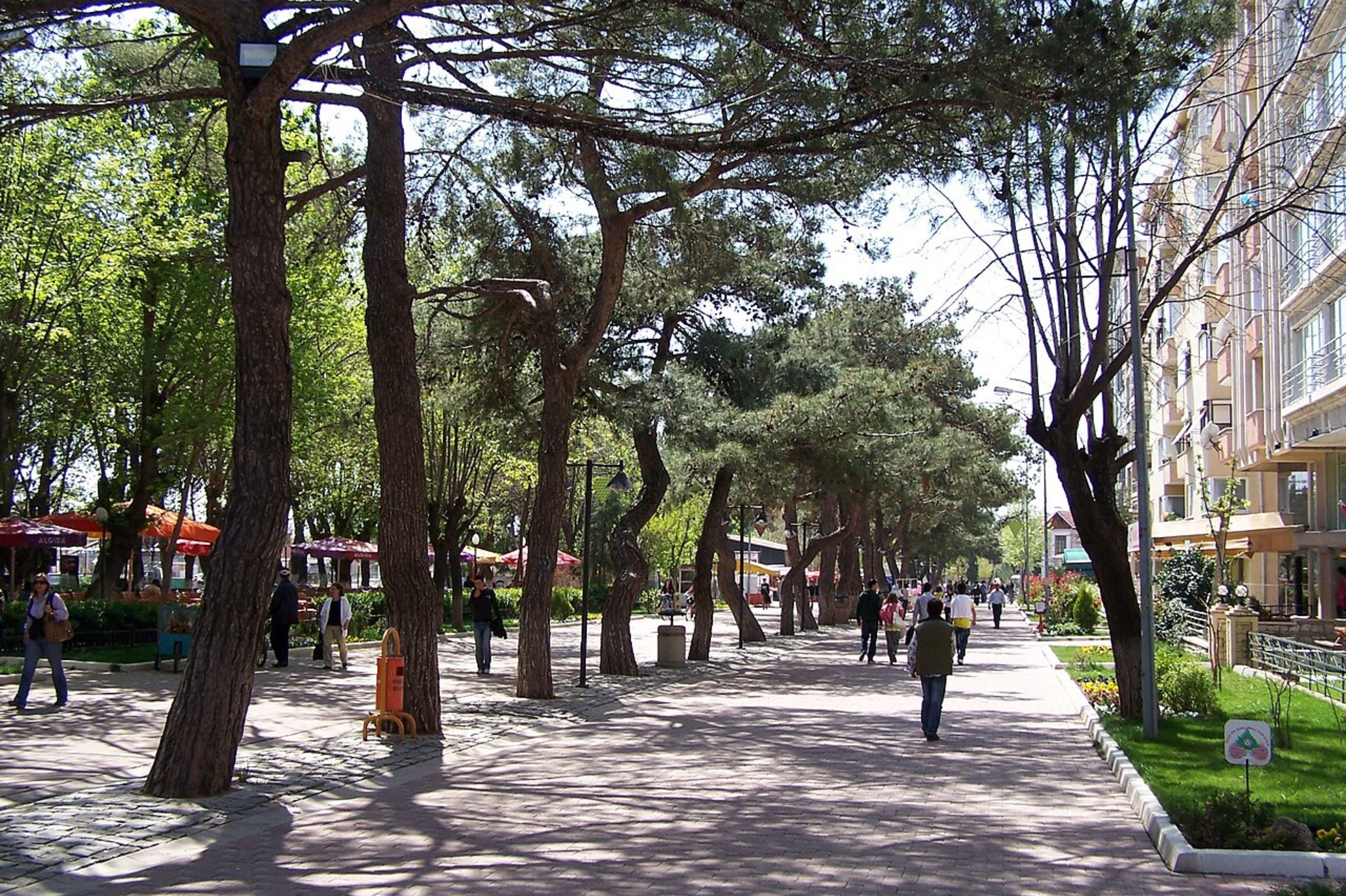 Kırklareli Tercüme Bürosu