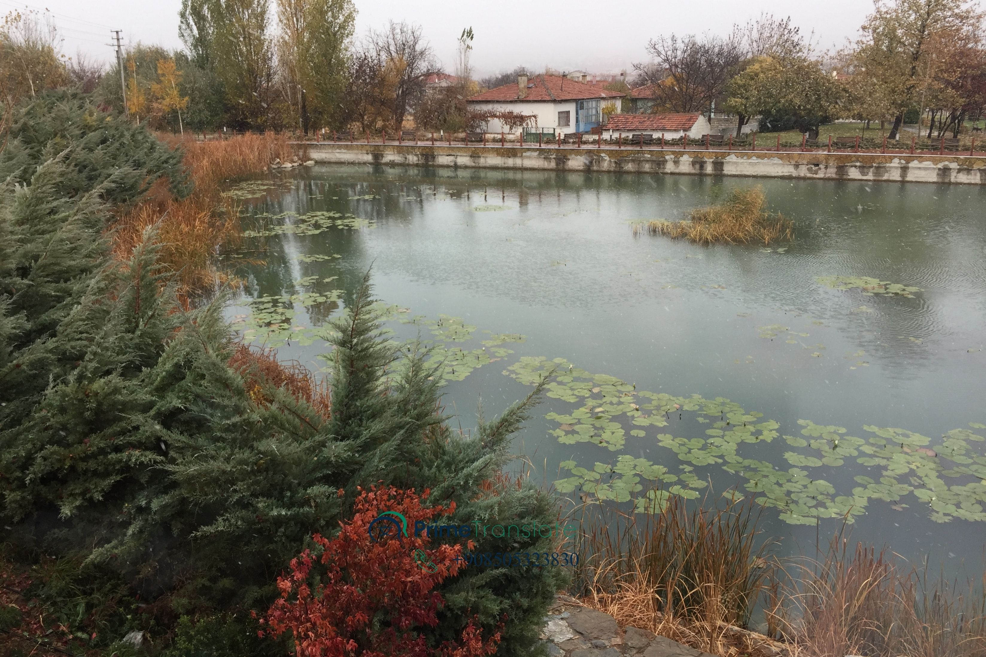 Kırşehir Tercüme Bürosu